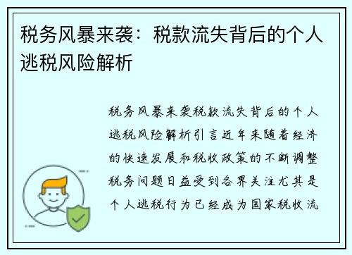 税务风暴来袭：税款流失背后的个人逃税风险解析